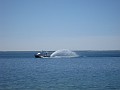 Mackinaw Island Area May 2008 0520